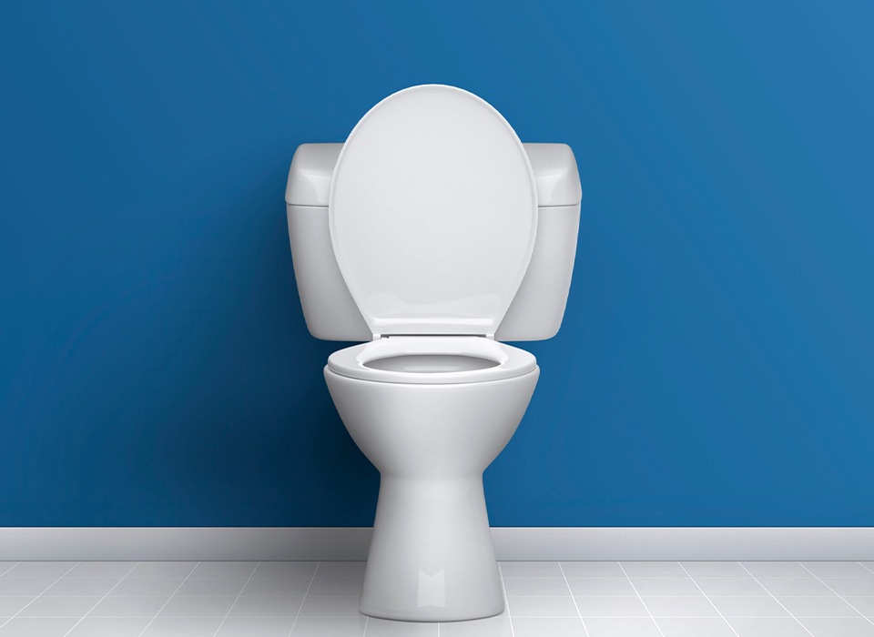 toilet